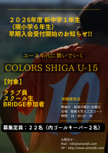 黄色、写真、自然災害緊急対応、ポスター (1)